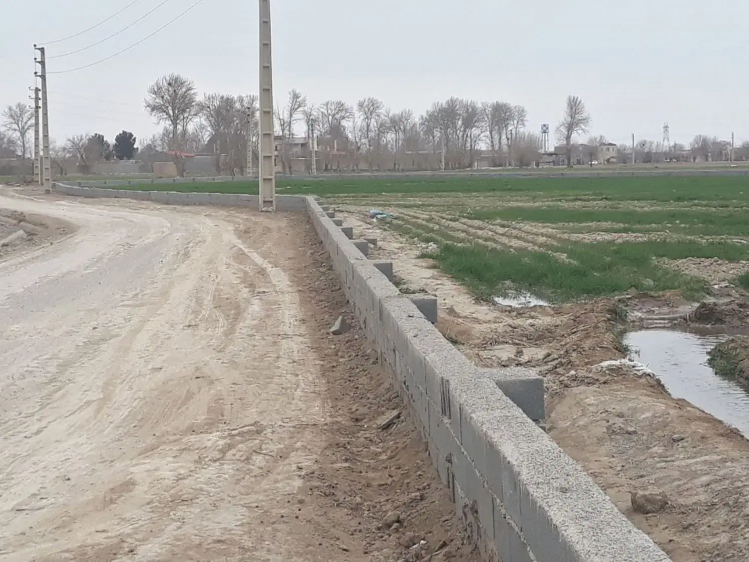 زمین مزروعی