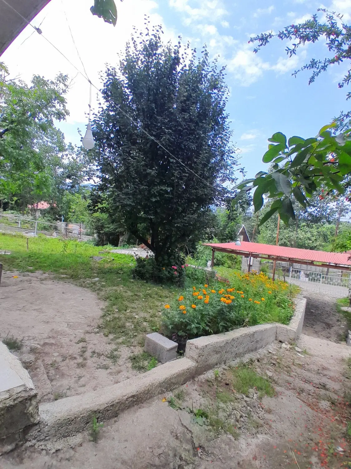 ویلا دو خواب جنگلی