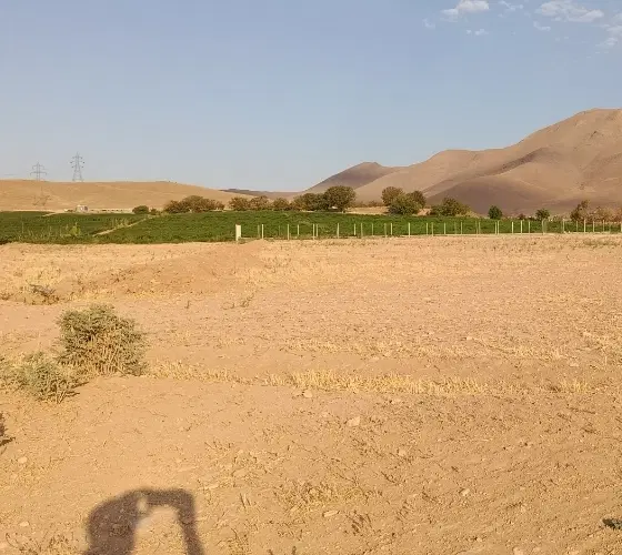 فروش زمین دو بر