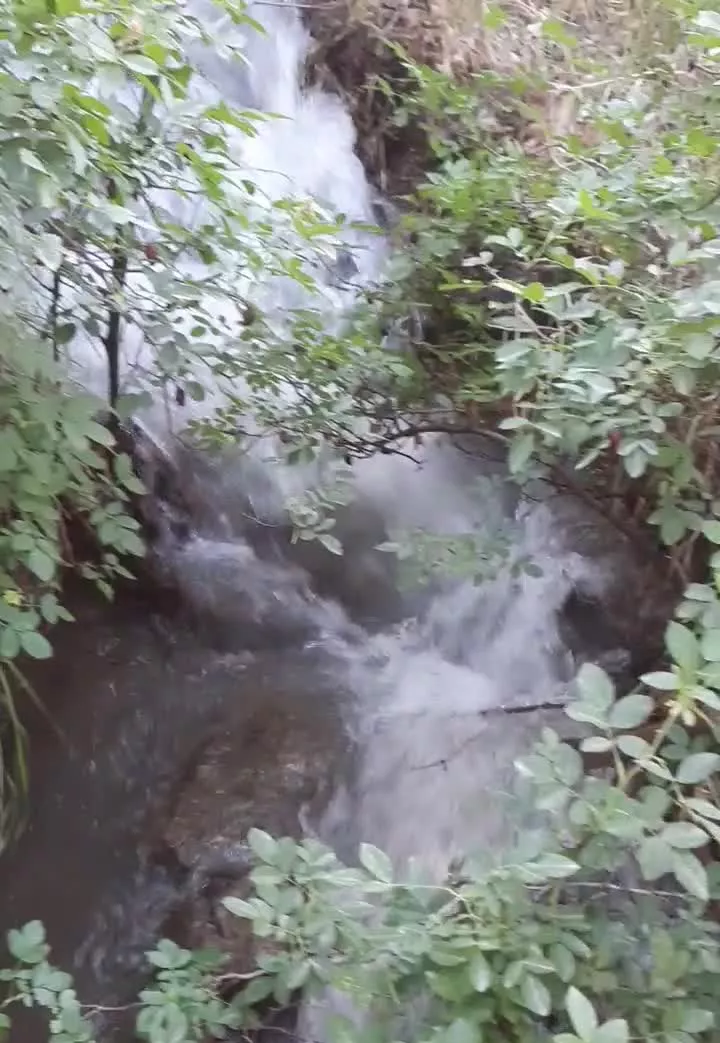 باغ کوهستانی