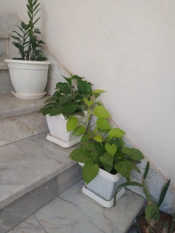 آپارتمان شیک
