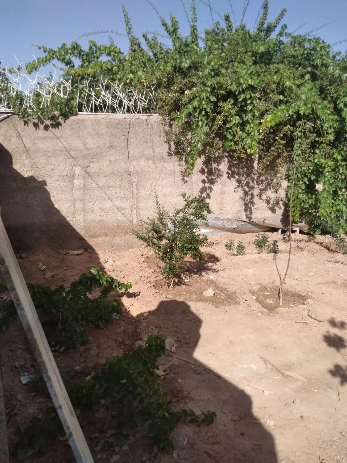 خانه کوه باداموییه