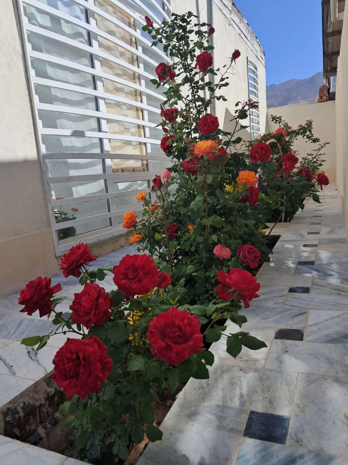فروش ویلایی روستا