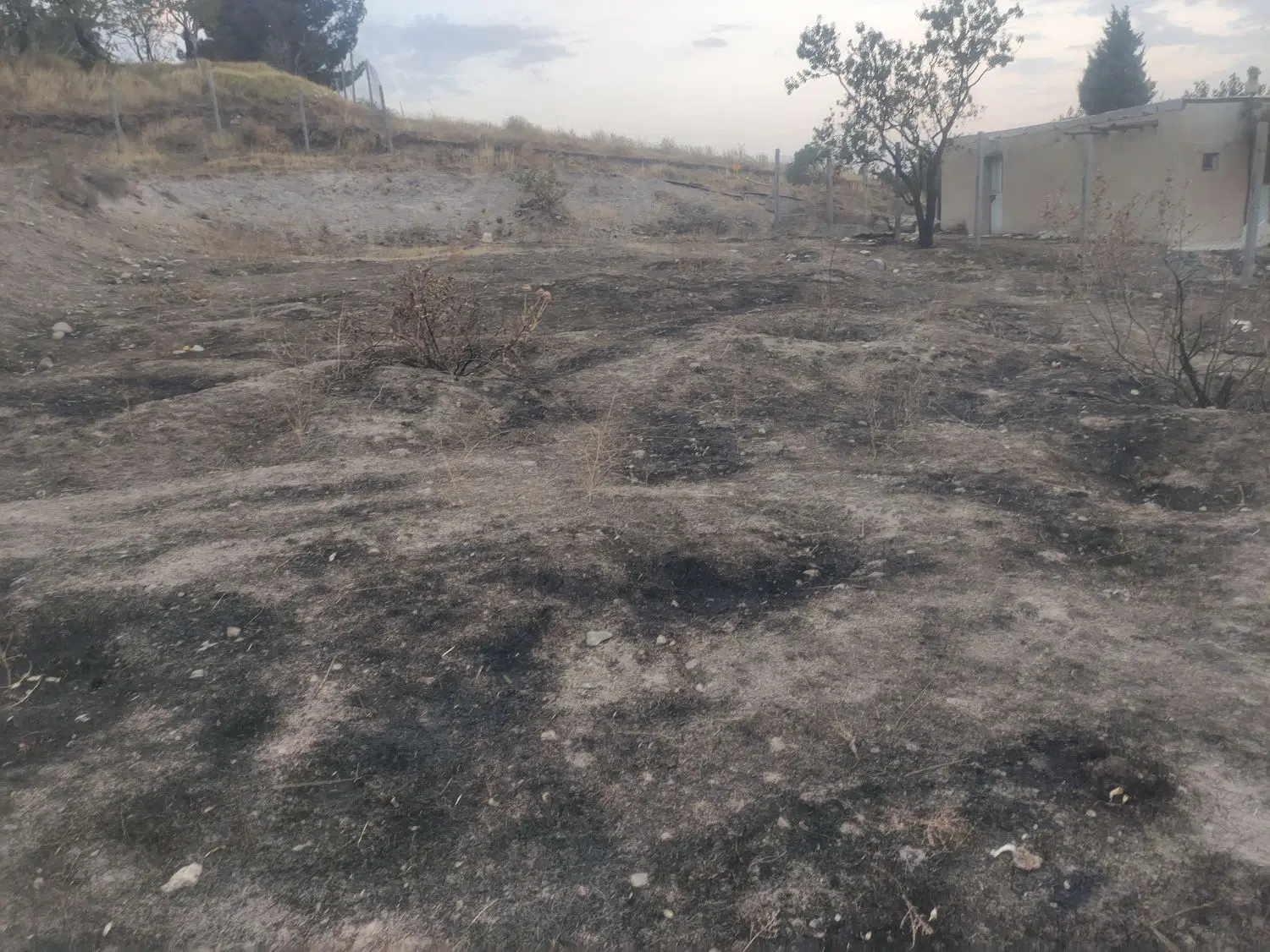 زمین ویلایی