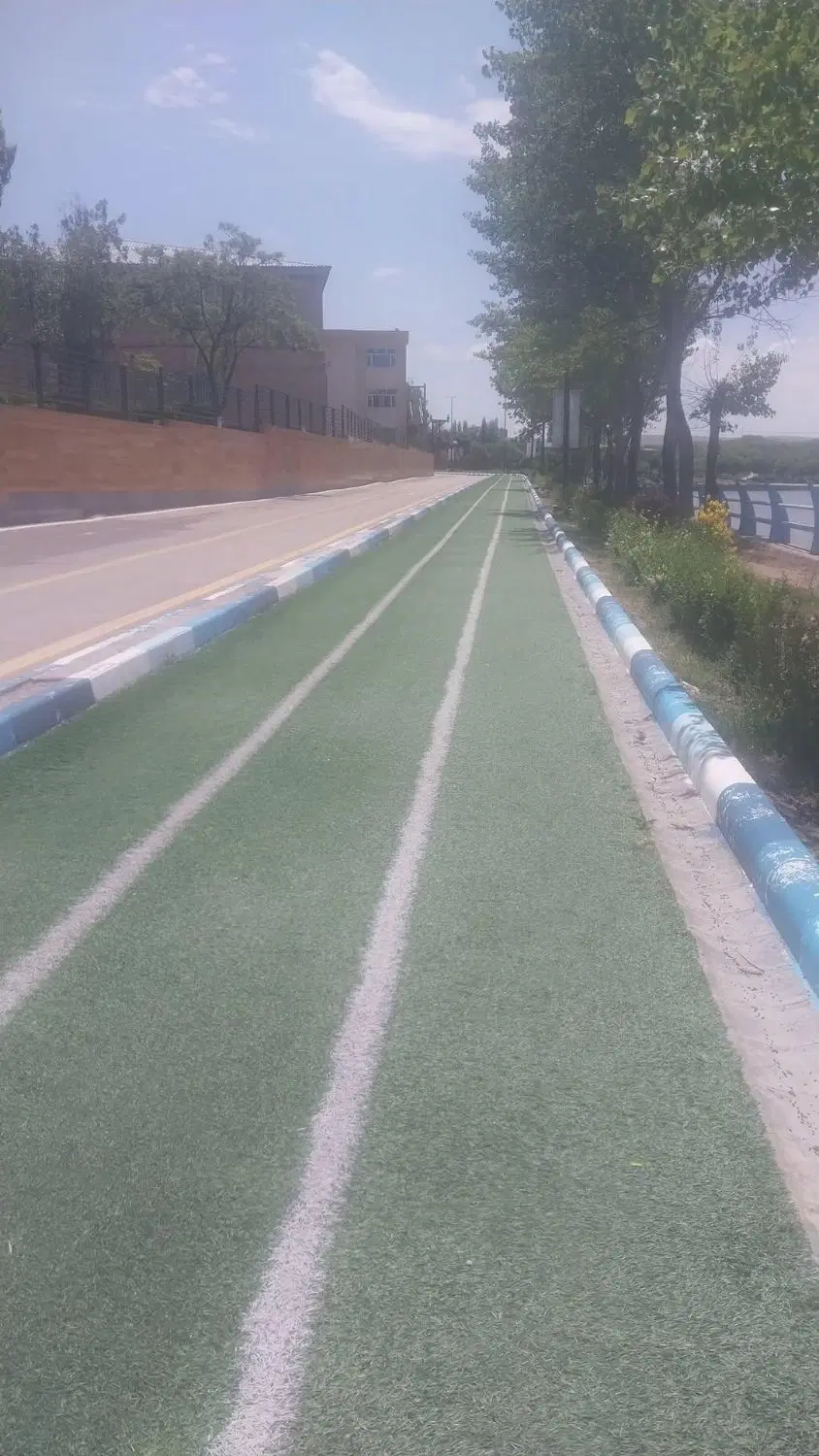 مغازه در صدف