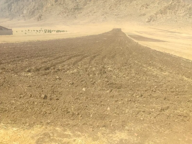 زمین کشاورزی