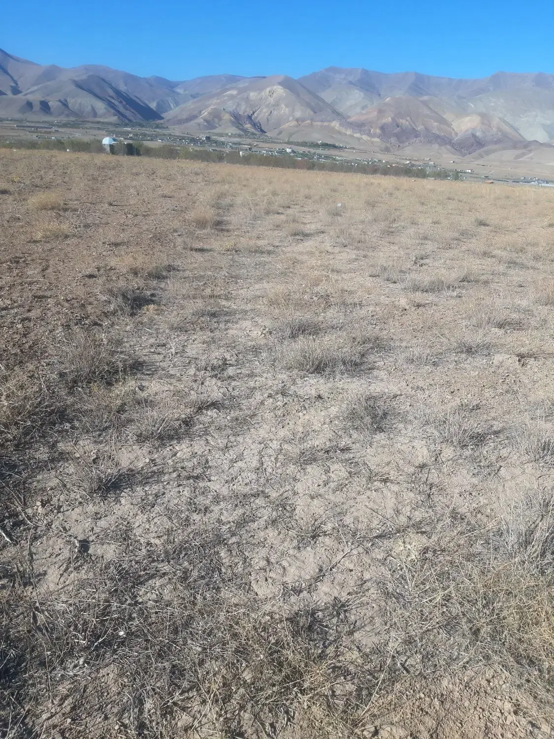 باغ زمین ویلا زمین باغی