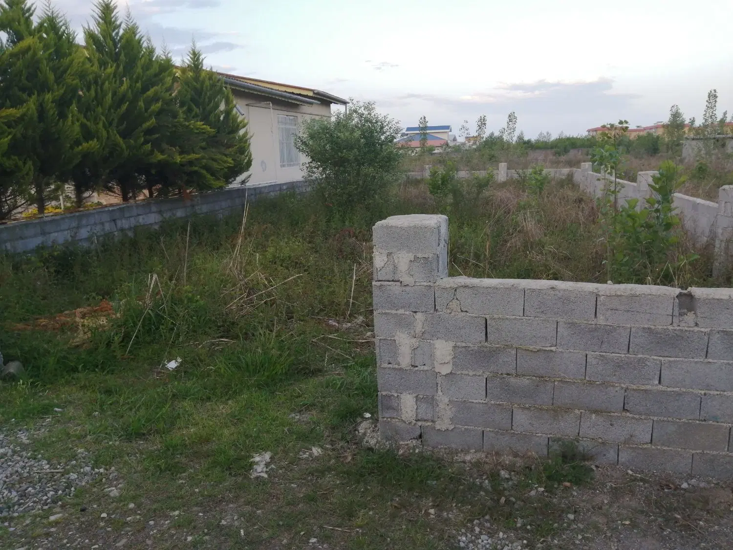 ۲۵۰ متر زمین عباس اباد پسنده