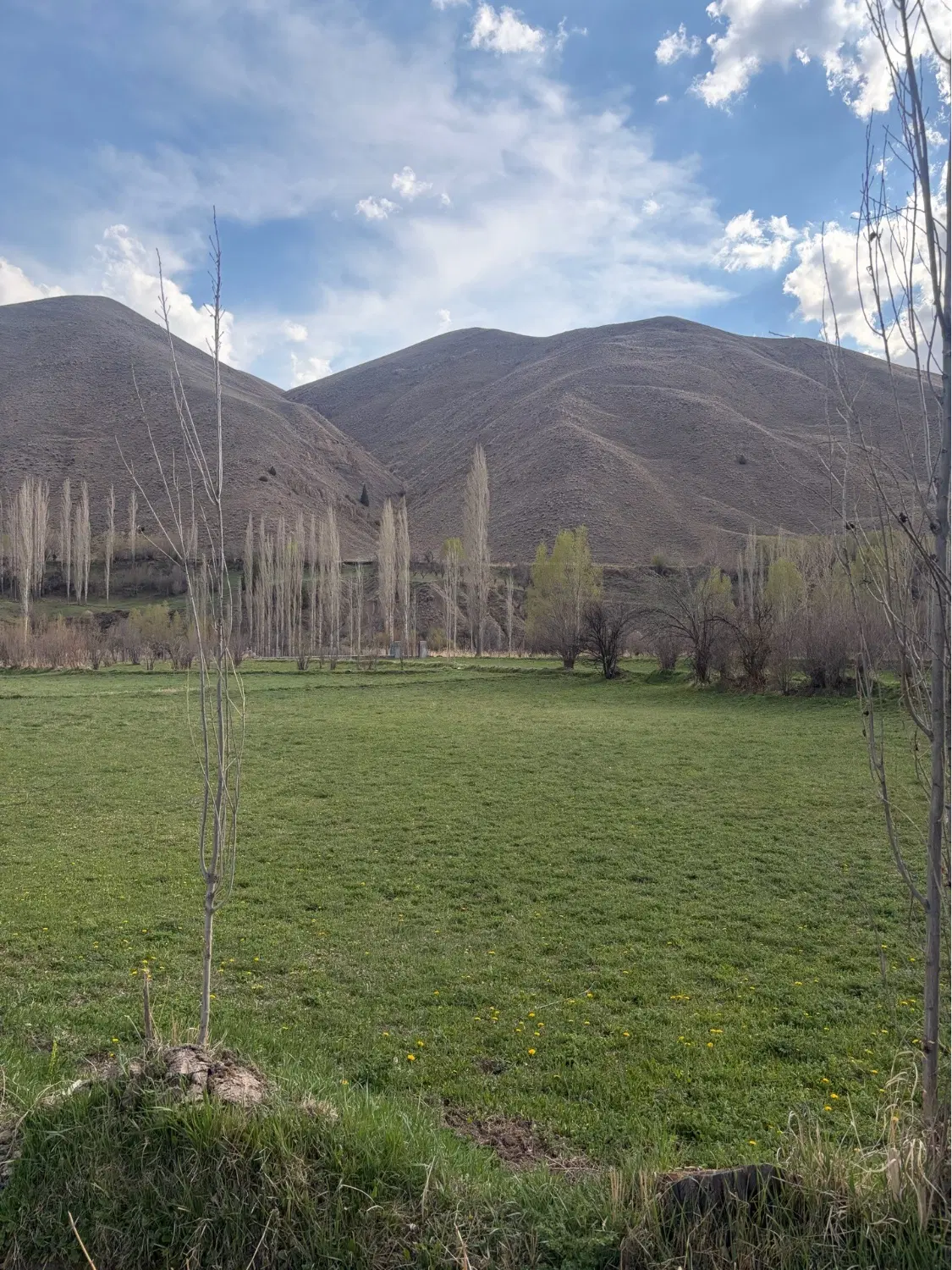 زمین در بلده