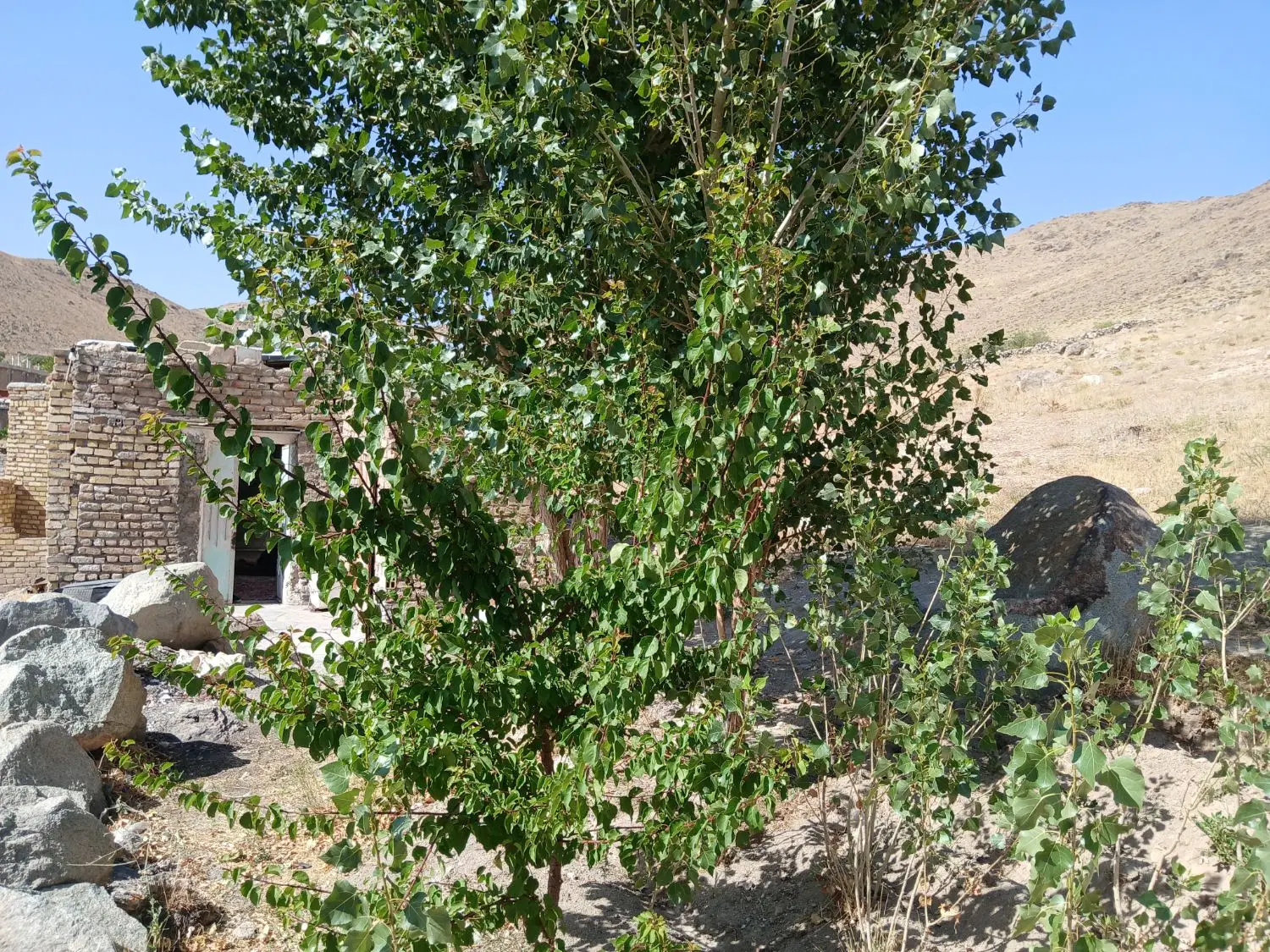 خانه در روستای پایین کوه