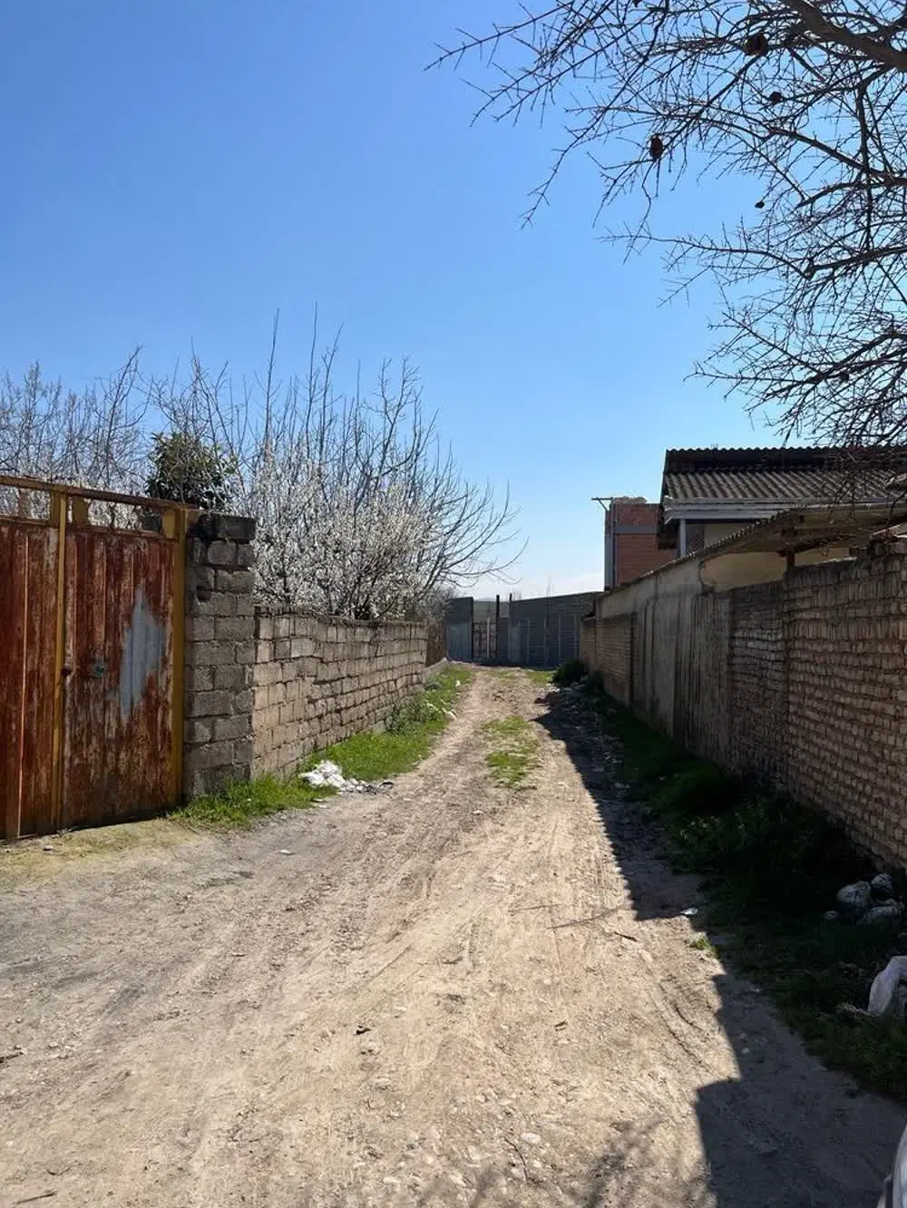 ۲۵۳ متر زمین ویلایی