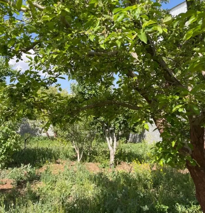 زمین مسکونی با امکان ساخت