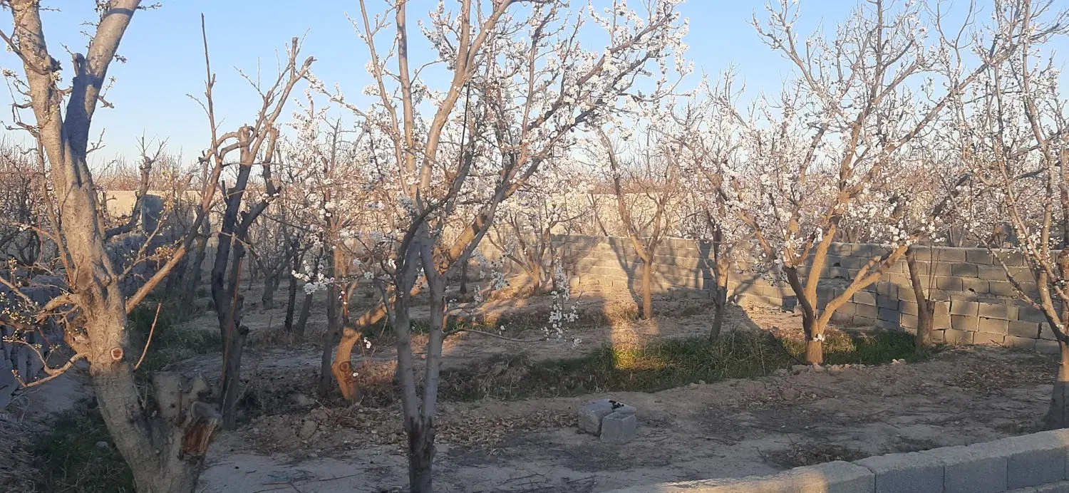 403 متری