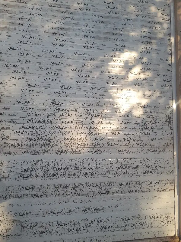 خیابان شهید یزدانی اخر فرعی ۱۸