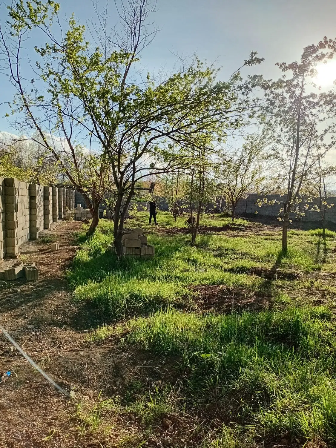 قطعه دیوار کشی در ملایوسف