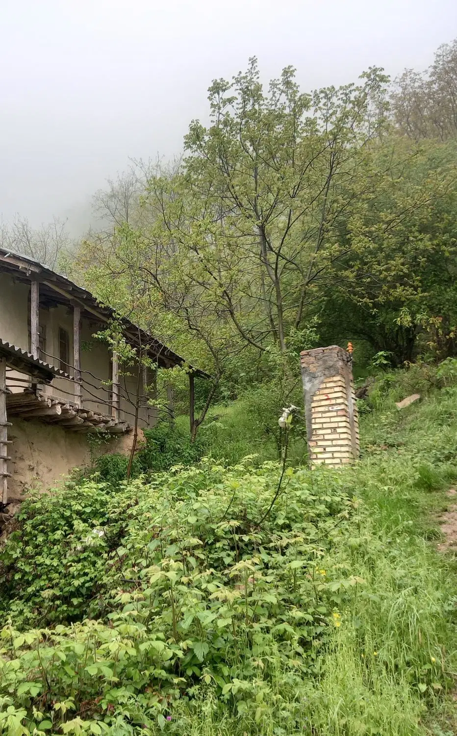 ویلای جنگلی دل جنگل هیرکانی