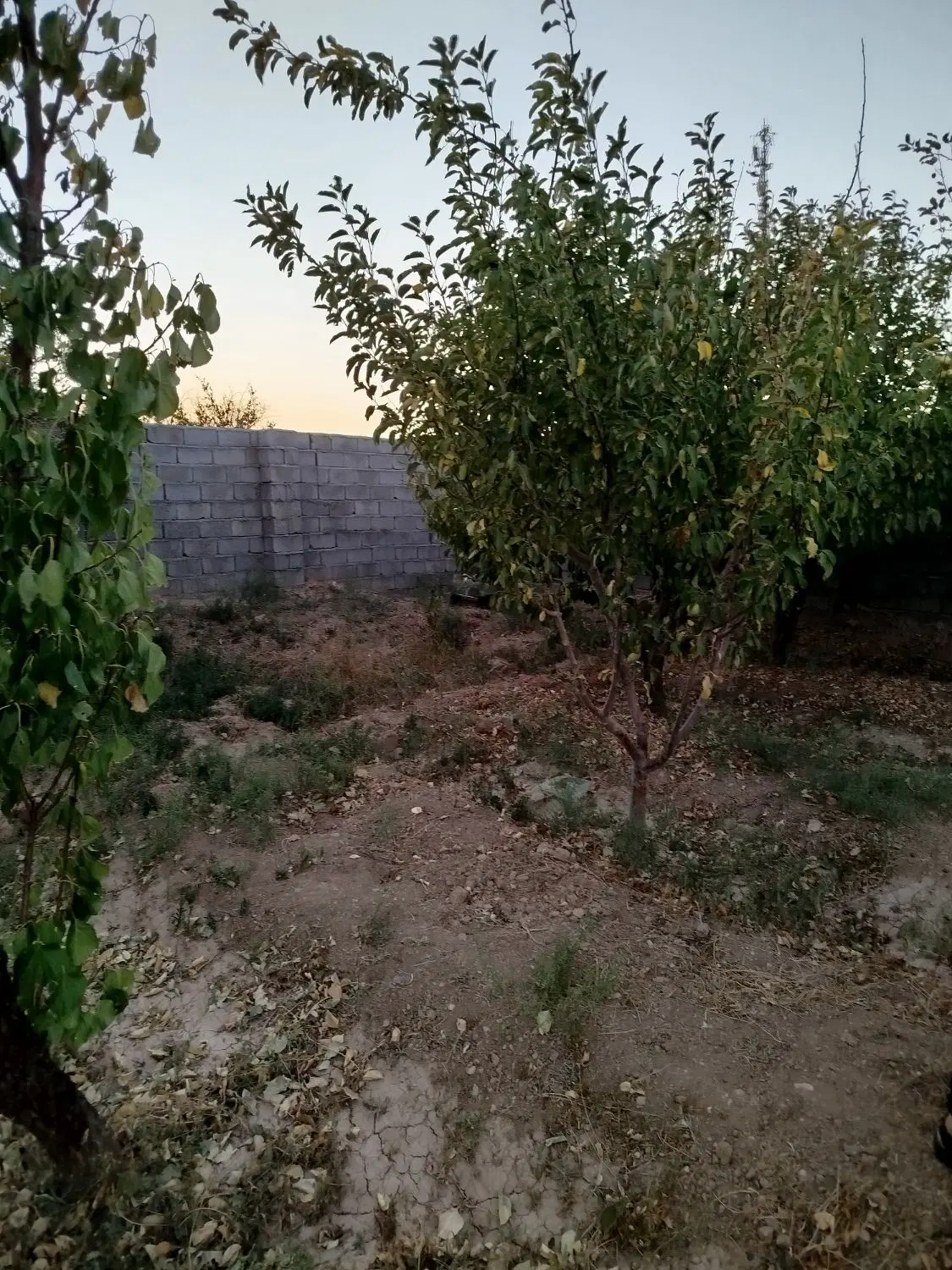 خانه ویلایی اجاره ای