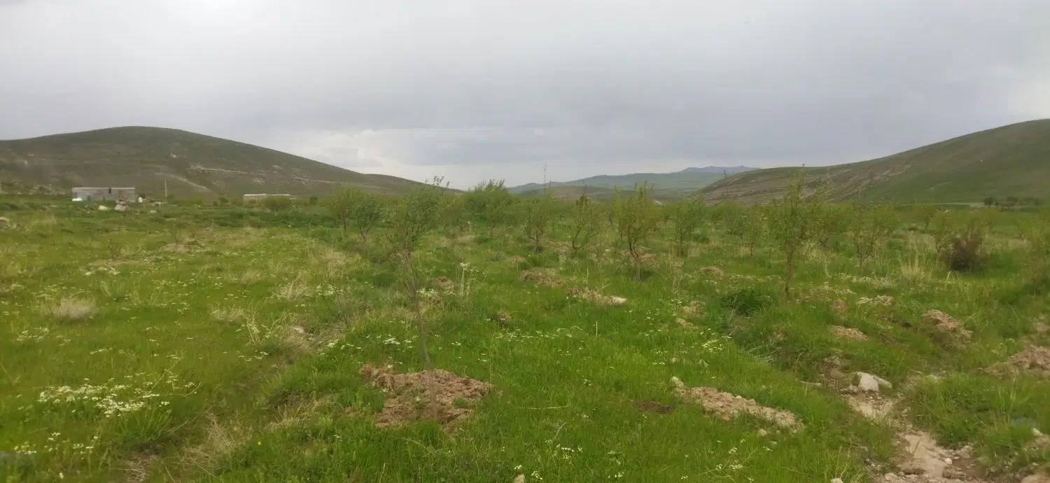 باغ در روستای زرغان