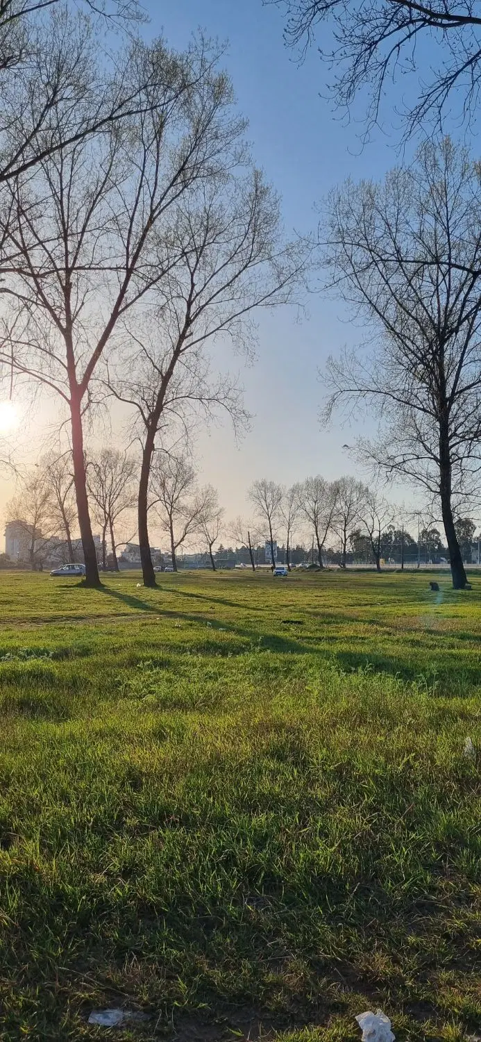 زمین ۵۲۵ متری