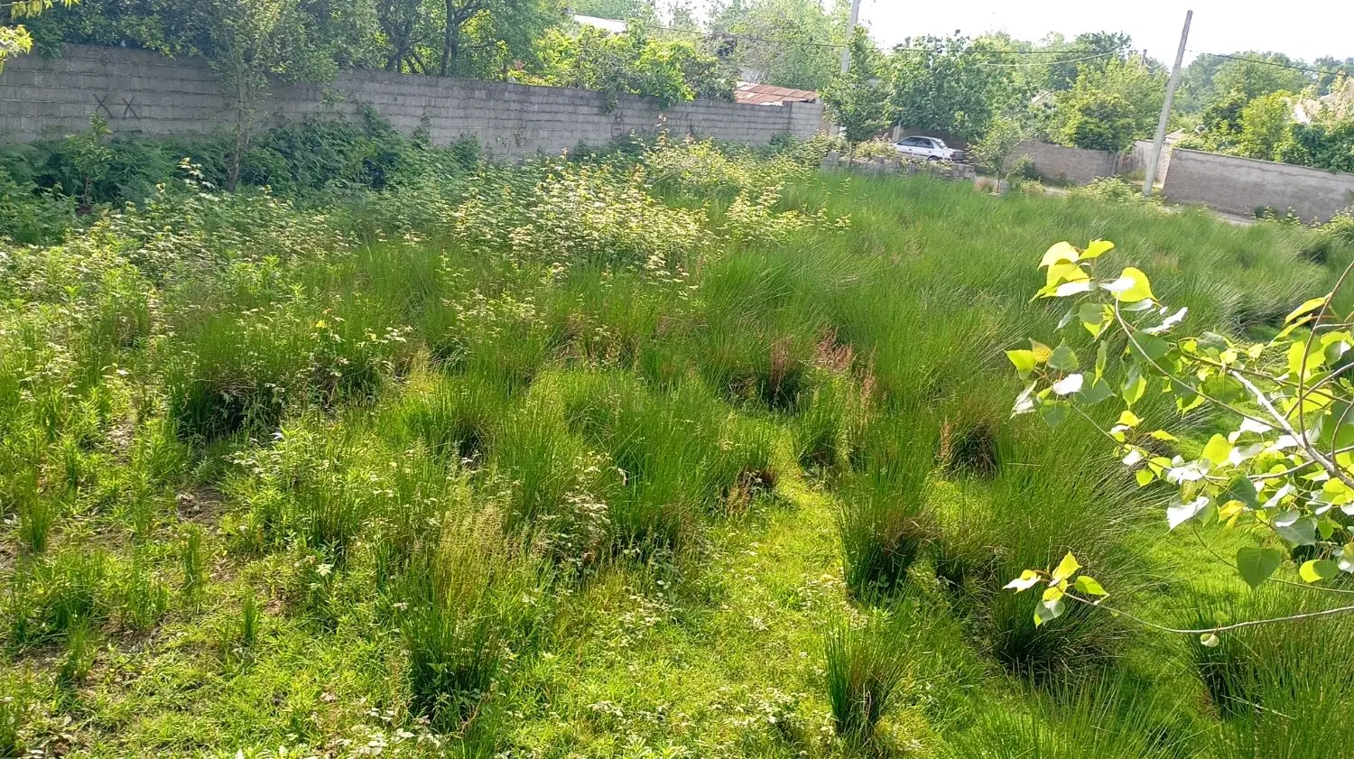 زمین مسکونی