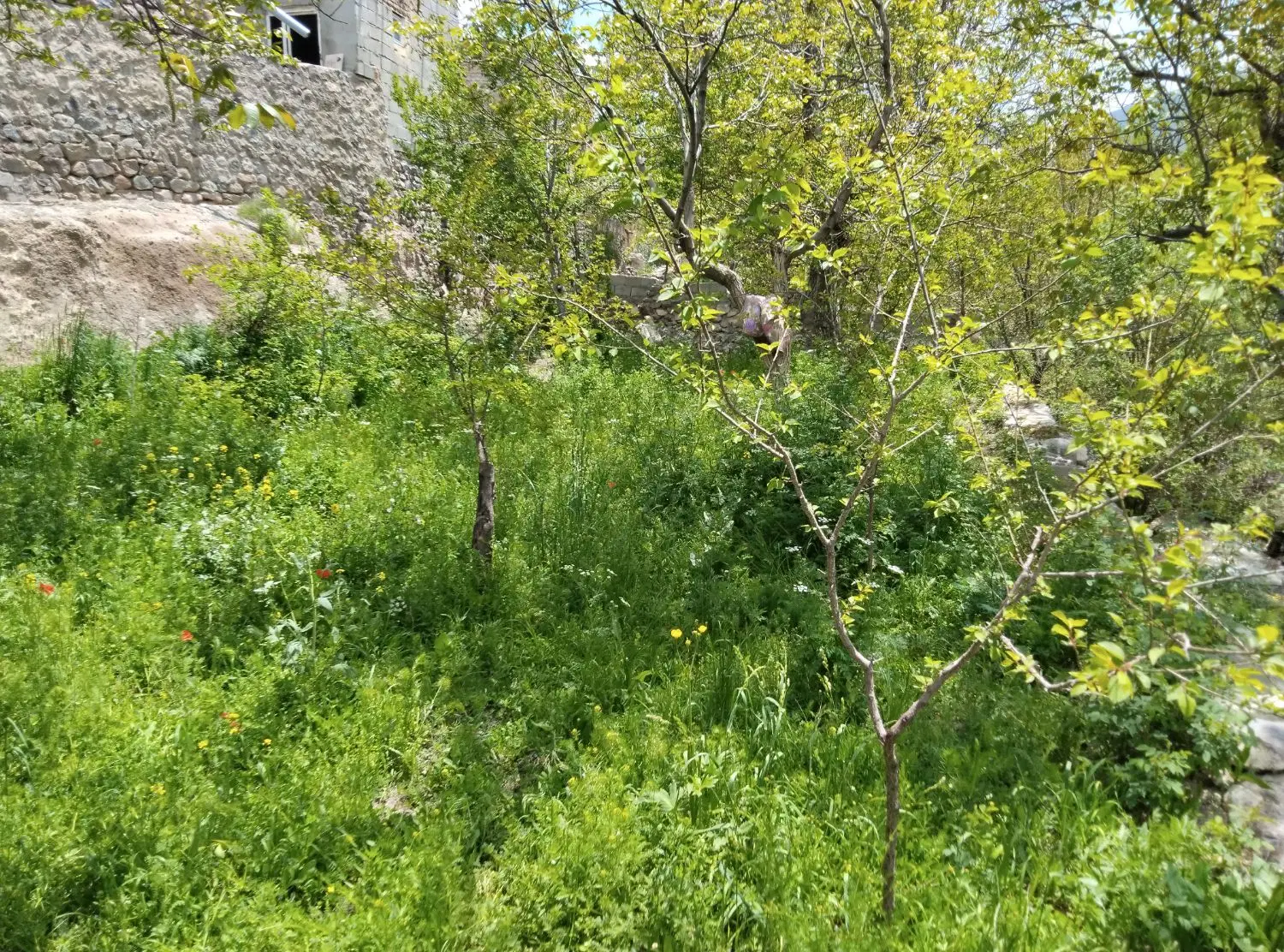 باغ_۴۰۰متری