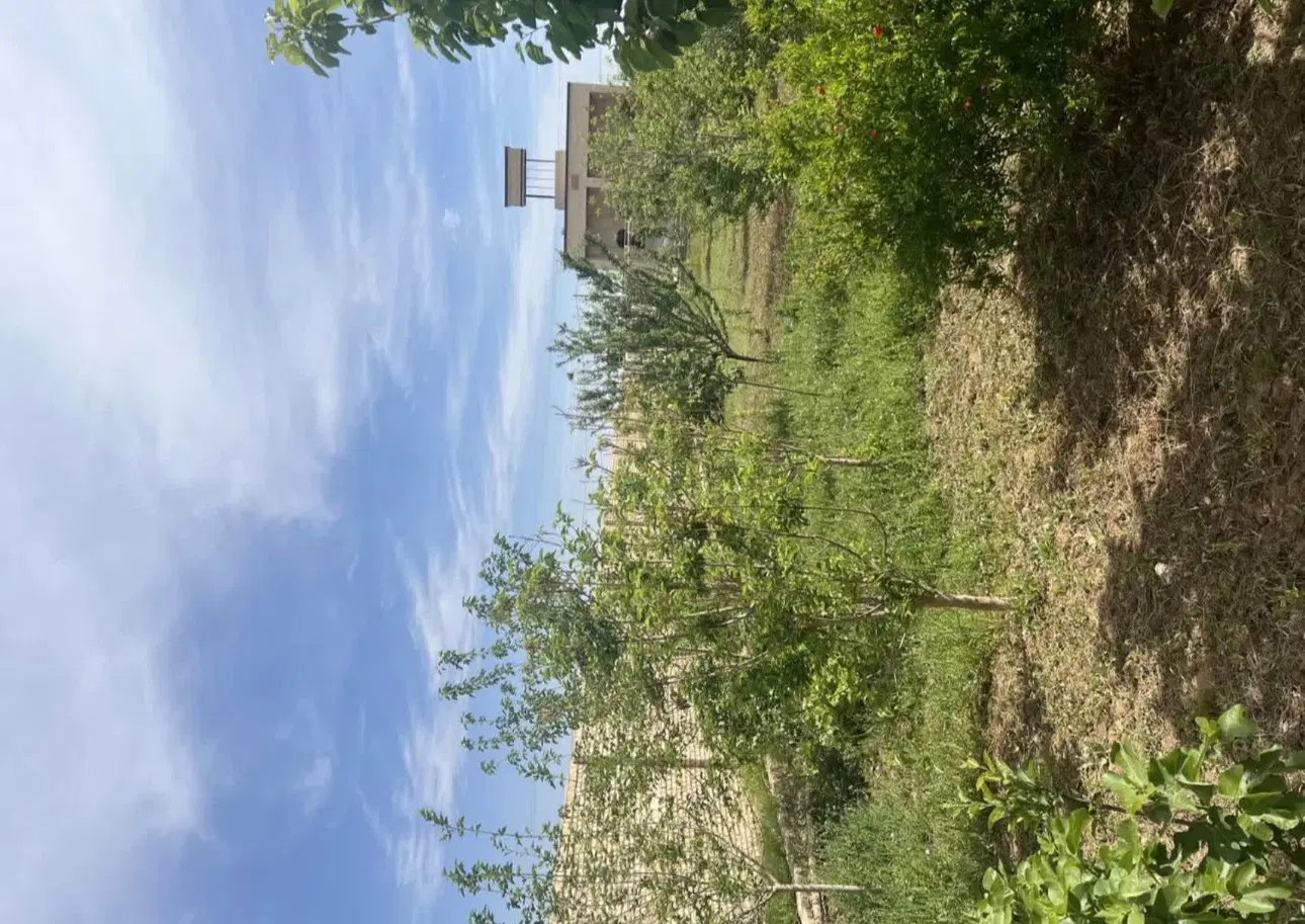 زمین و مغازه تجاری محدوده خیابان دستغیب