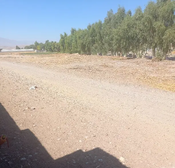 ۵۰۰متر زمین کشاورزی