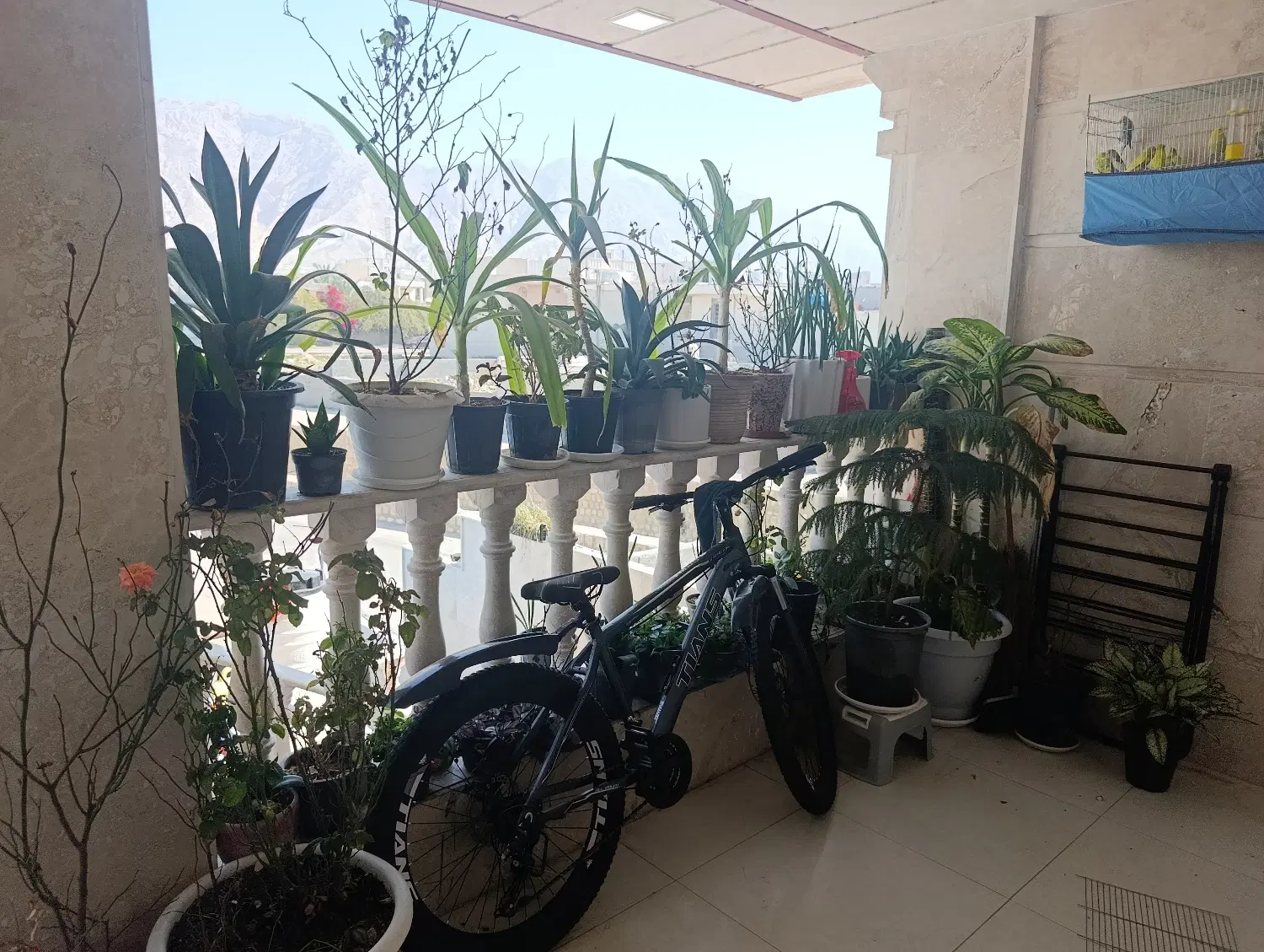 منزل رهن خیابان برق
