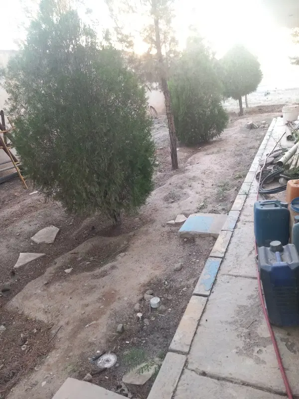 زمین بهره جاده وهن آباد سنددار
