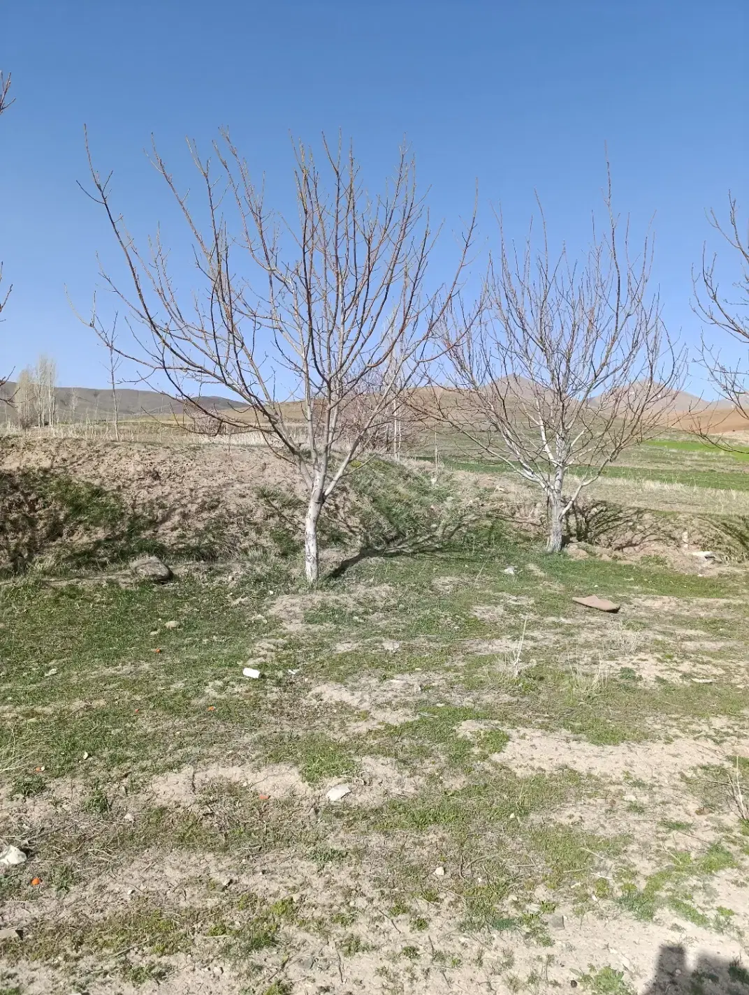 زمین کلنگی لوکیشن بی نظیر