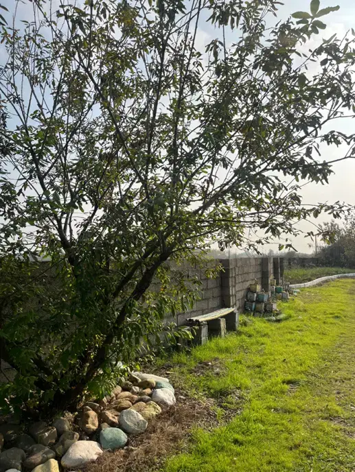 اجاره روزانه_ساعتی_الاچیق چهار دیواری