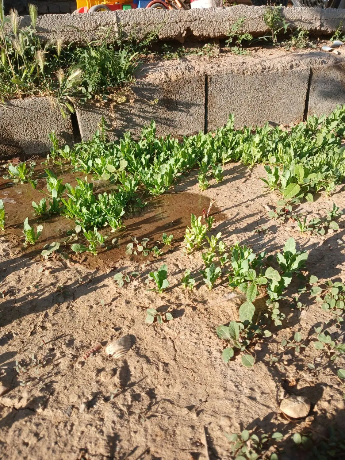 فروش زمین خیابان فردوسی