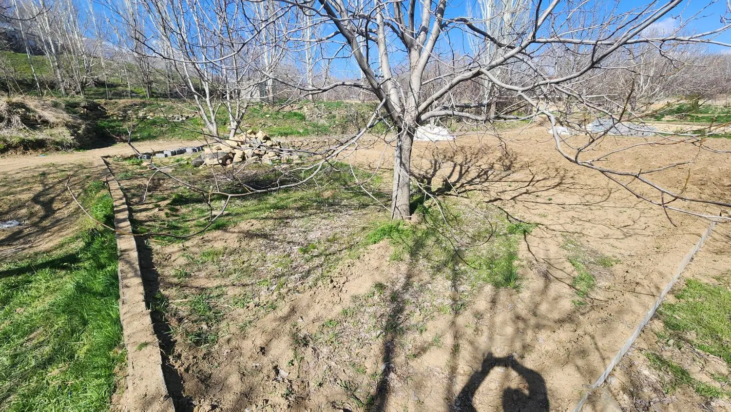 زمین کشاورزی آینده دار