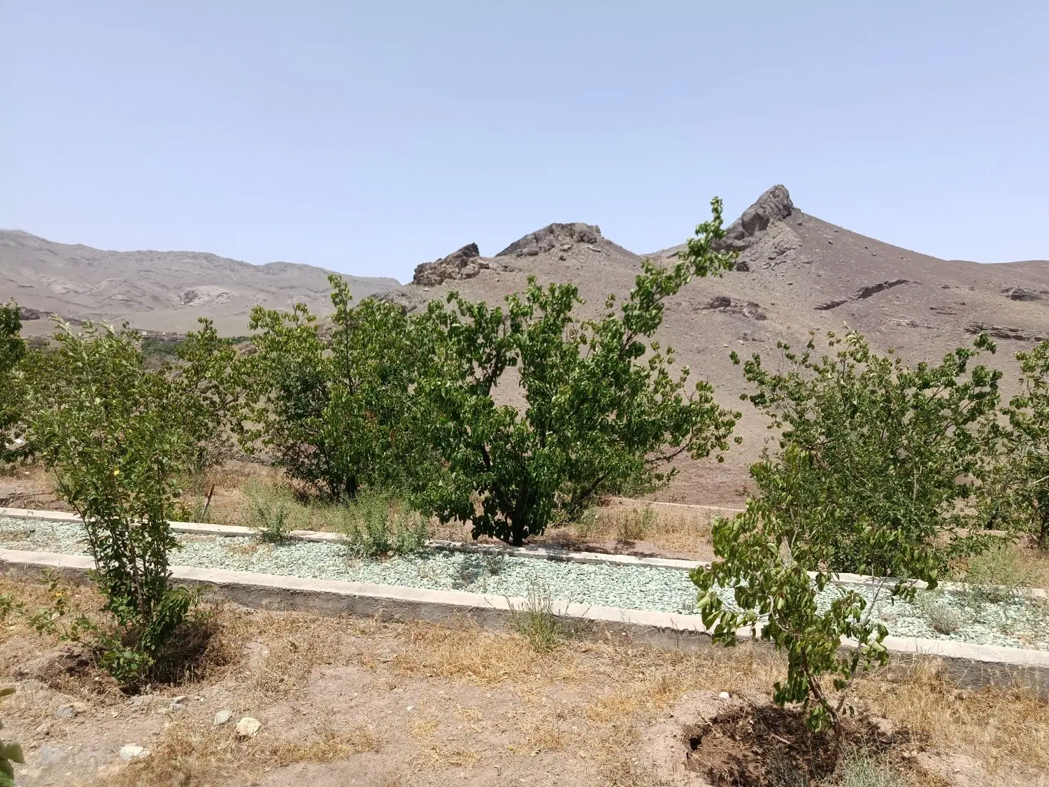 املاک محمدی روستای وشنوه نهصد متر باغ