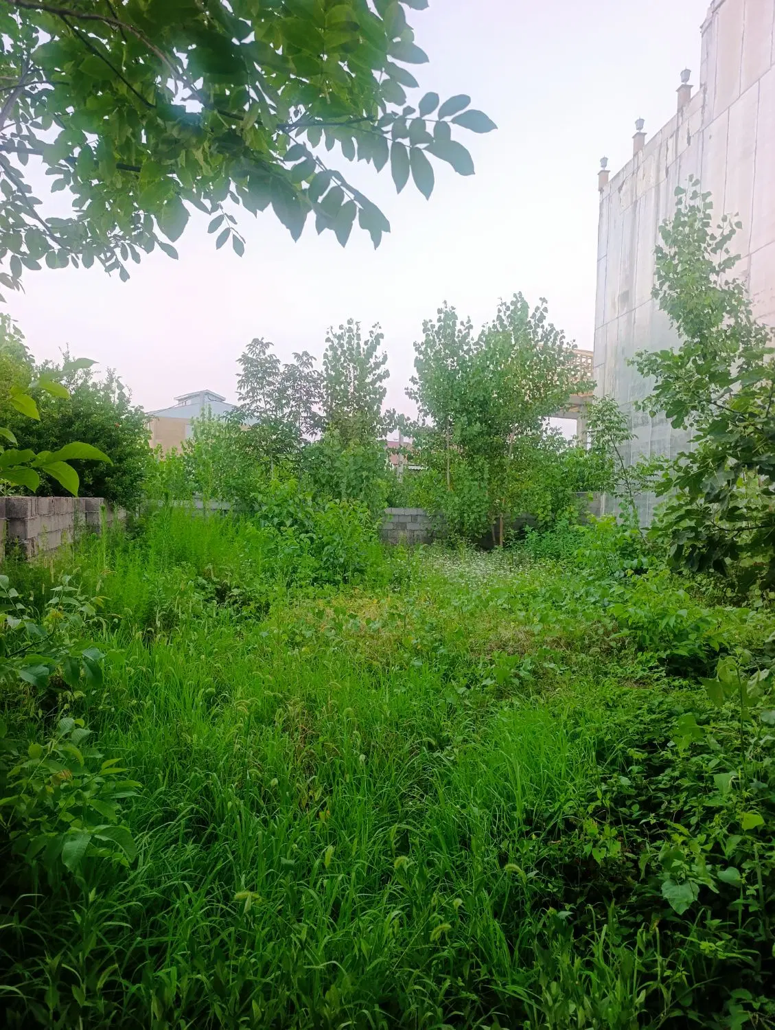 زمین مسکونی
