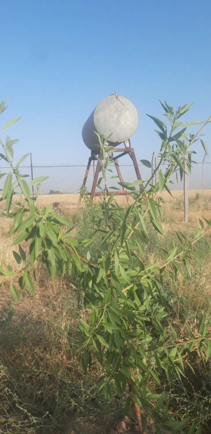 ۸۰۰ متر باغ با درختان بارده سهمیه آب و دور فنس