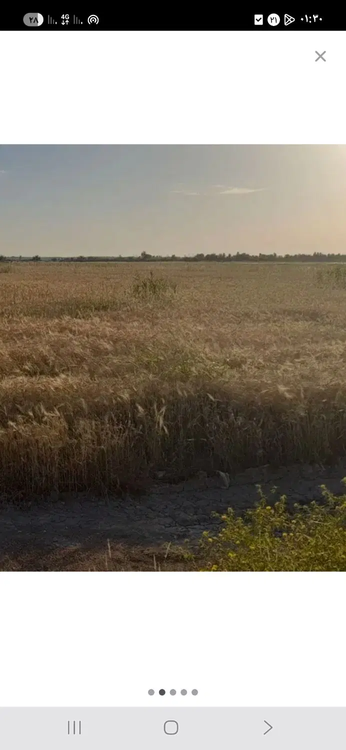 زمین کشاورزی اجاره