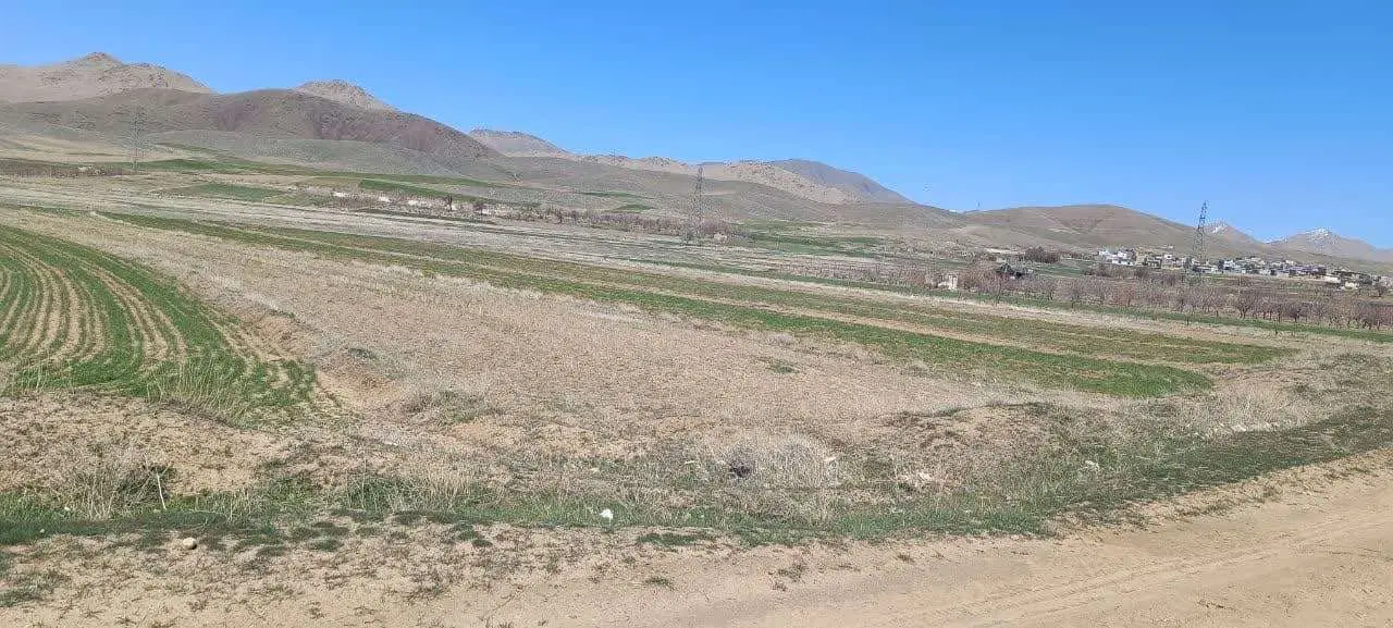 فروش زمین کشاورزی