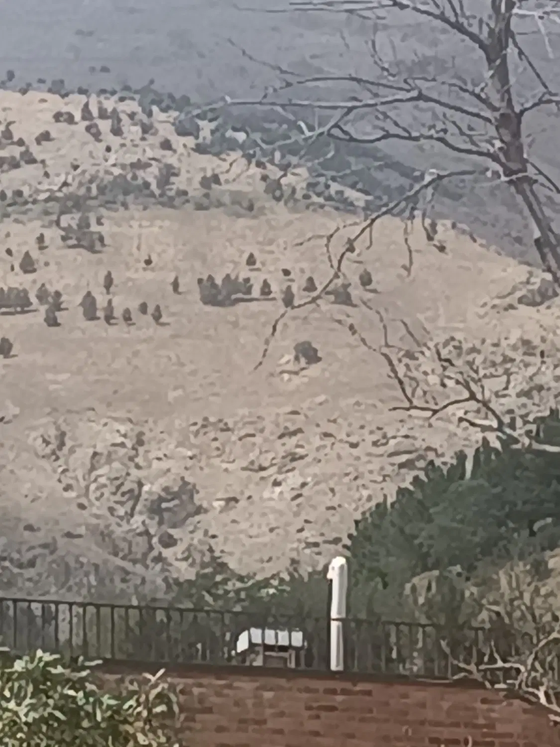 قطعه زمین شهری و روستایی ساردو قیمت استثنایی