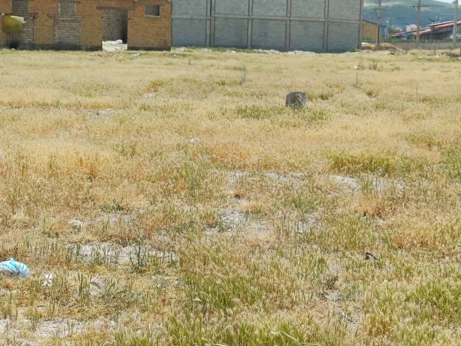 زمین تجاری