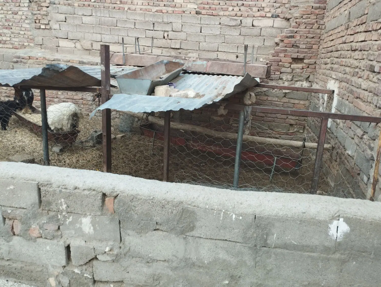 زمین شهرک گاوداران