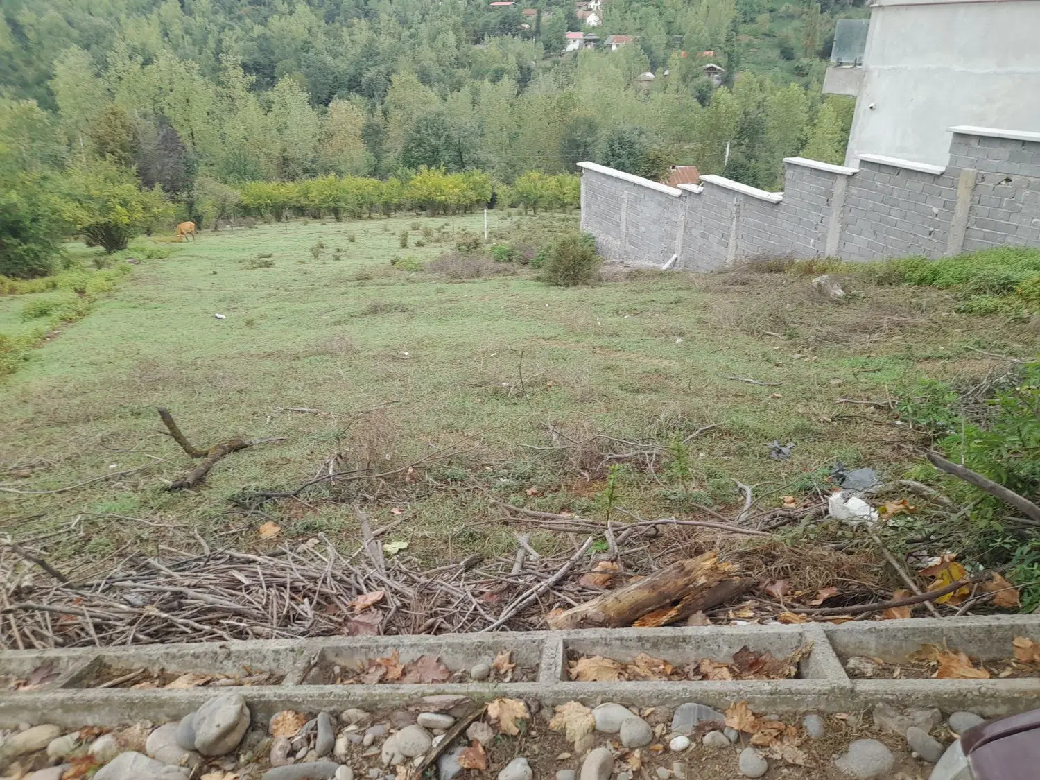 ۳۱۵مترزمین مسکونی روستای اسبراهان