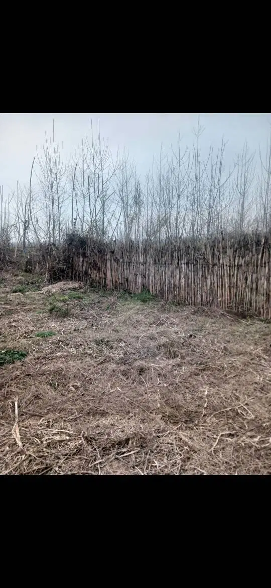 زمین مسکونی در سنگر رشت استان گیلان