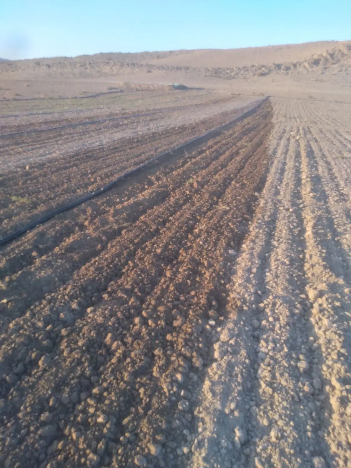 فروش زمین دیم و آبی