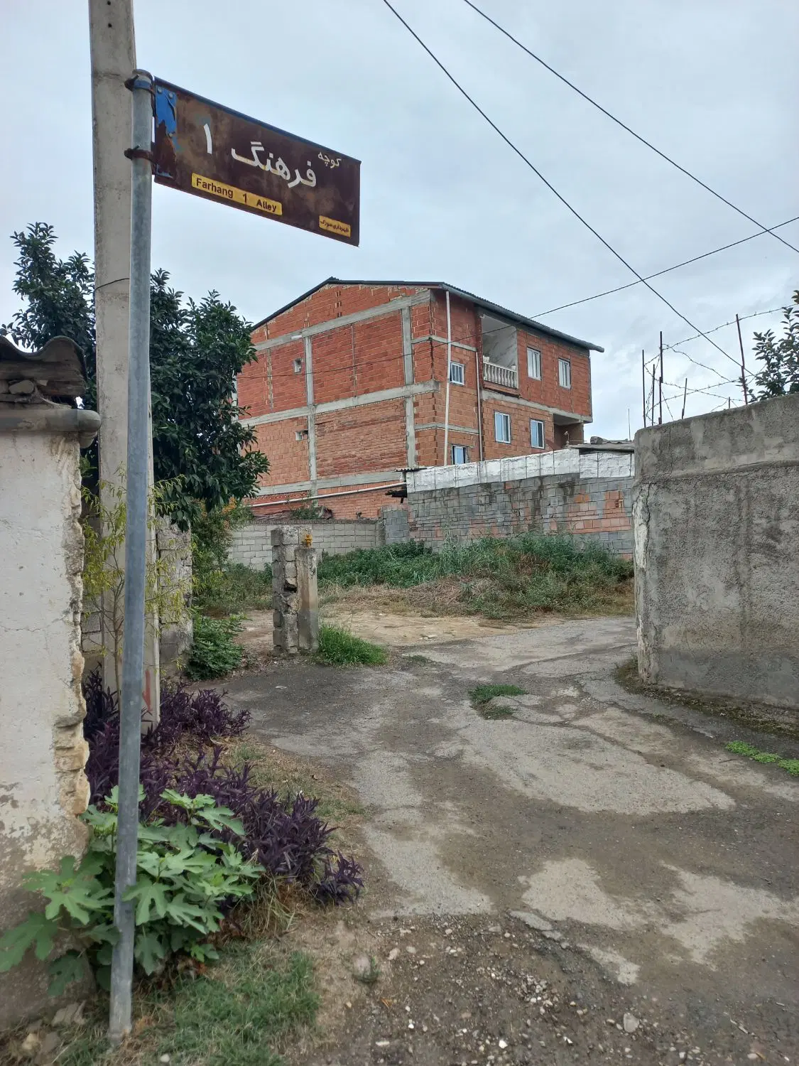 فروش زمین مسکونی سورک