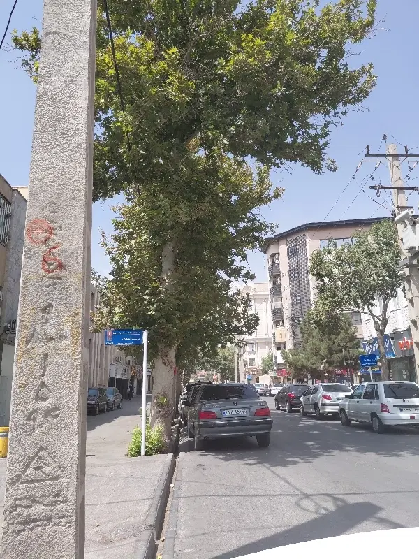 ۴۲۰ متر کلنگی_۴ و پیلوتی _ خیابان ملک