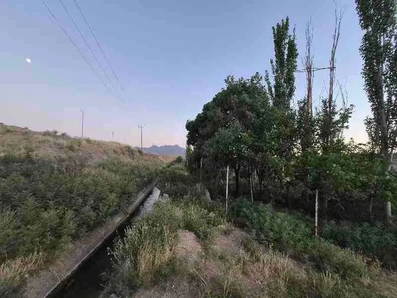 زمین باغ و باغ فروشی در روستای دیزیجان