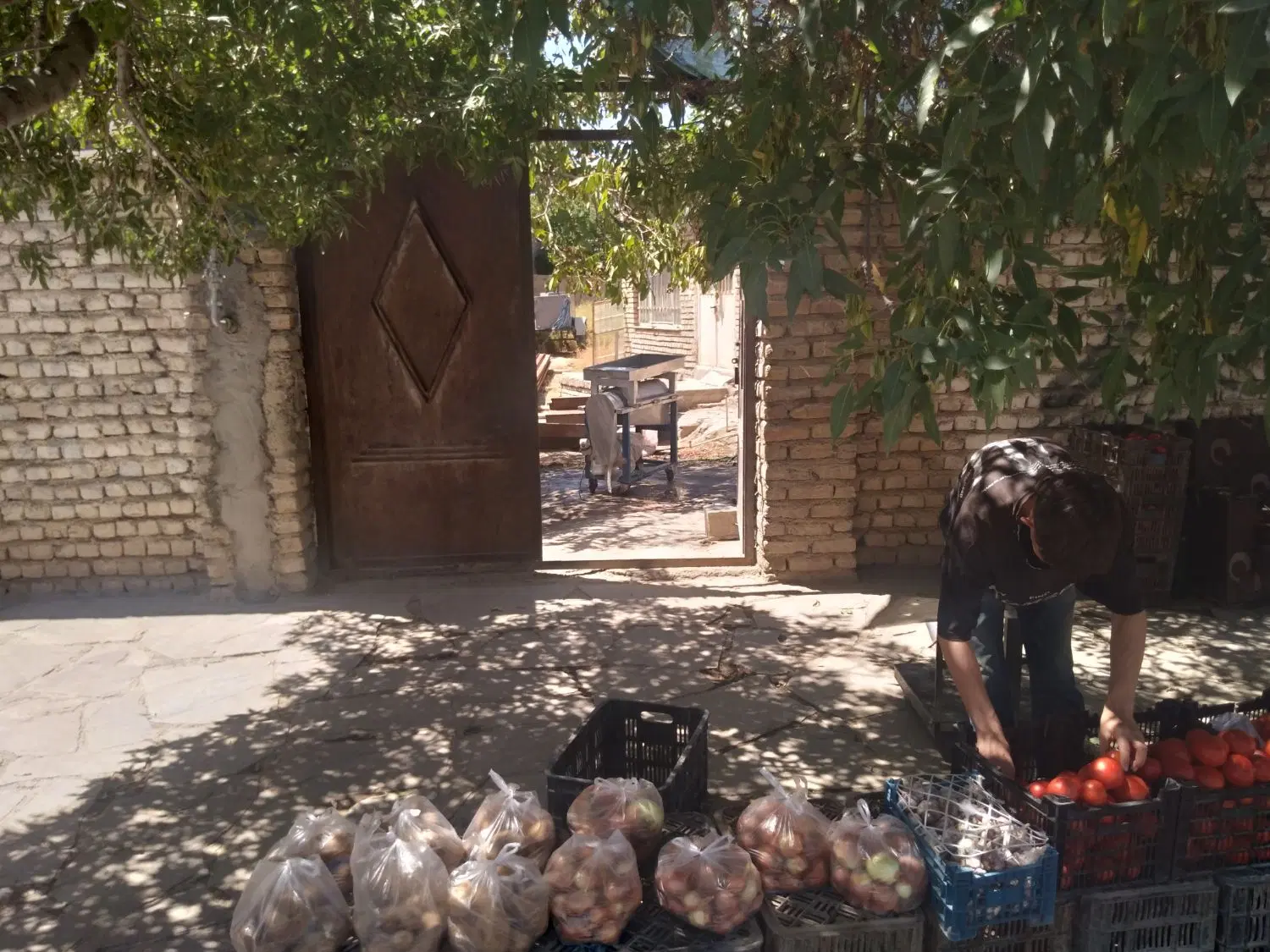 زمین مسکونی