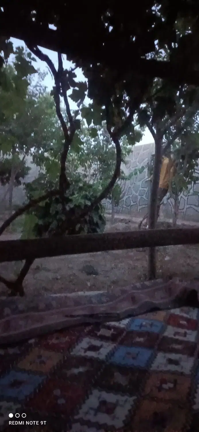 خانه باغ