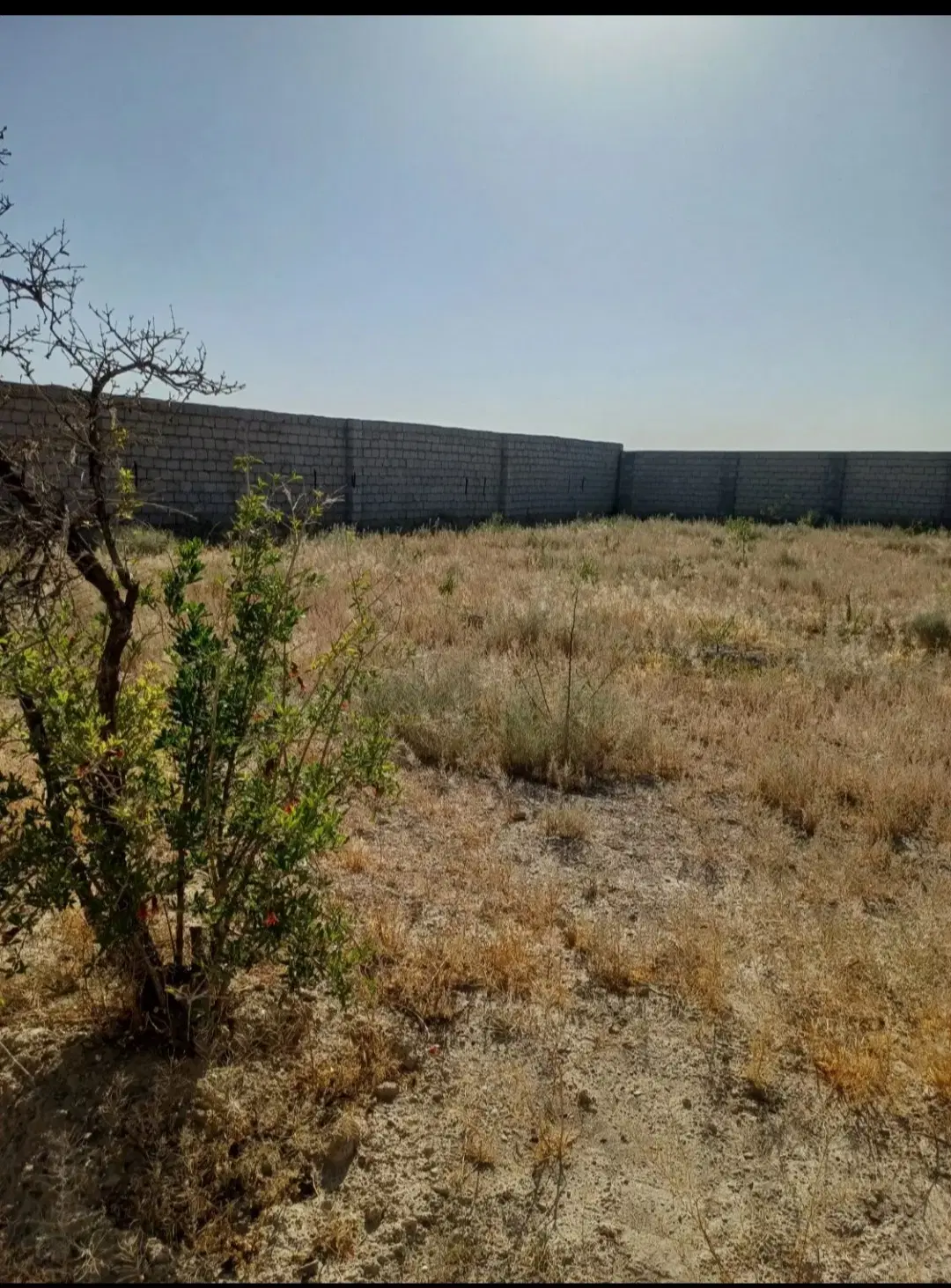 زمین باغی هنرستان پارسا مناسب ویلا سازی زیر قیمت